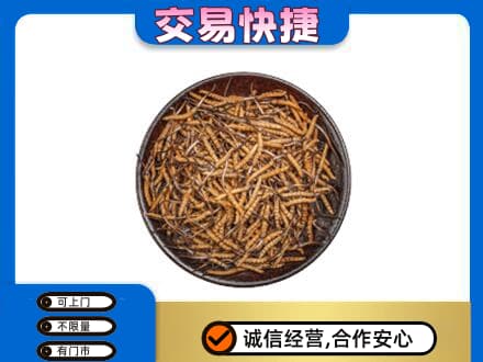 海北礼品回收虫草.jpg